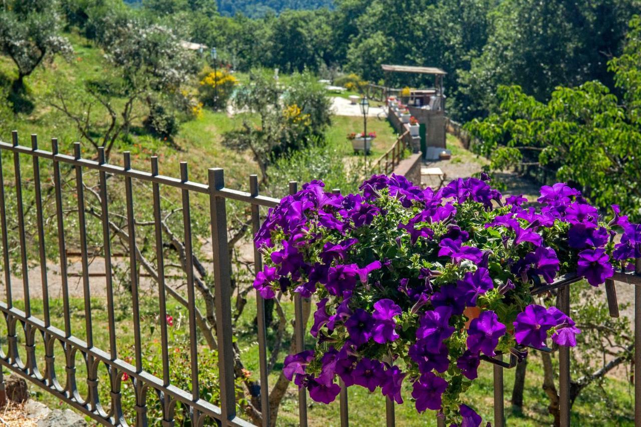 Podere Figlinelle Starda Exterior foto