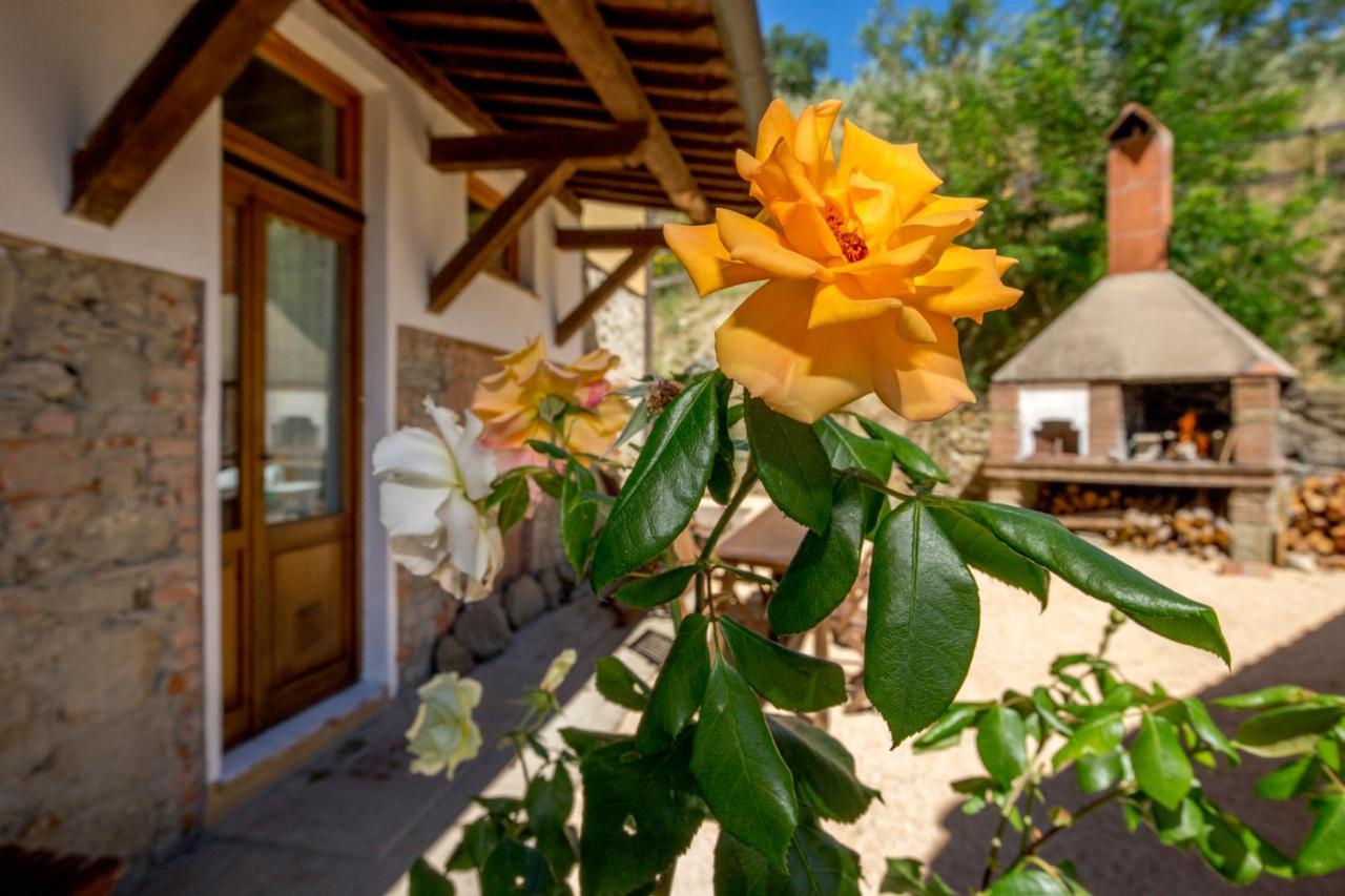 Podere Figlinelle Starda Exterior foto