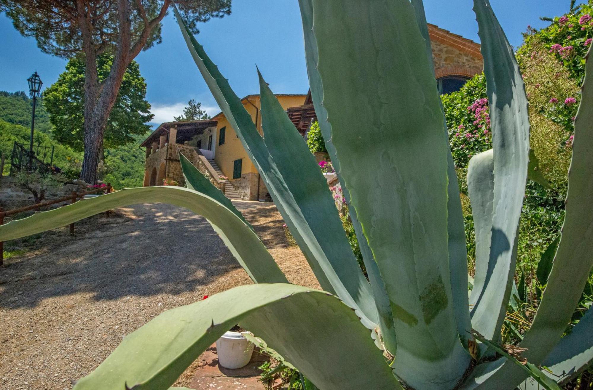 Podere Figlinelle Starda Exterior foto